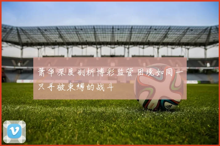 萧华深度剖析博彩监管困境如同一只手被束缚的战斗