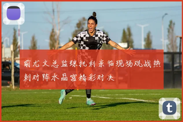 前尤文总监琼托利亲临现场观战热刺对阵水晶宫精彩对决