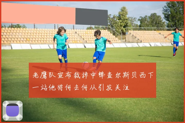 老鹰队宣布裁掉中锋查尔斯贝西下一站他将何去何从引发关注