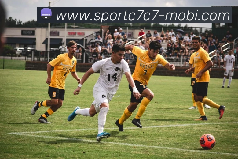 App Interface Preview